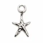 Silver Starfish Earring Ss25