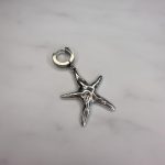 Silver Starfish Earring Ss25