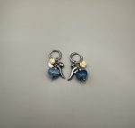 Blue Heart Aw25