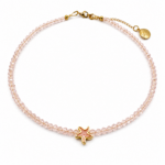 Starfish Orange Ss26 - Image 2